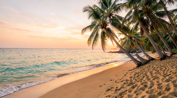 10 dages all-inclusive Sri Lanka-ferie med fly inkluderet: En dybdegående guide til markedets tendenser og rejsemuligheder