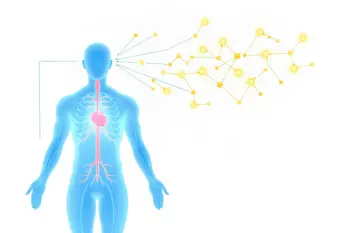 Top natural tips for better circulation: A clinical perspective on vascular health and daily maintenance