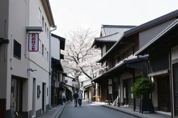 10-day Japan tour with flight included: An Analysis of Current Travel Industry Packaging