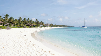 All-inclusive escape: 10-day to Turks and Caicos: A Practical Travel Analysis