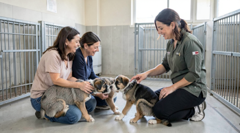 Cachorros en adopción: encuentra tu compañero ideal en tu zona, análisis y guía para decidir con responsabilidad