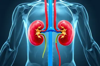 Kidney Stone Remedies: Clinical Perspectives on Management and Treatment