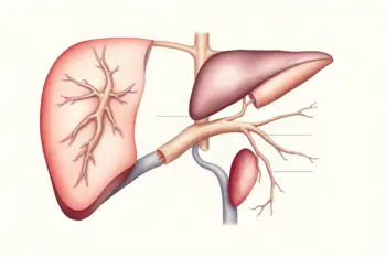 Warning signs of chronic liver disease: An analysis of clinical manifestations and progression