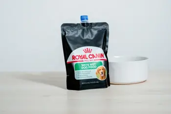 Royal Canin köpek maması gravy pouch 85gr: Köpek Beslenmesinde Soslu Yaş Mama Formülasyonlarının Teknik Analizi