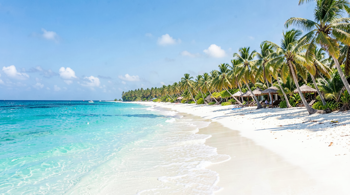 5-night all-inclusive Dominican Republic package with flights from Montreal: An Analysis of Market Trends and Logistics