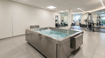 Commercial Ice Bath Tubs on Sale: A Buyer's Research Guide for Facilities and Recovery Centers