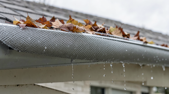 Gutter guards on sale: An Objective Evaluation of Materials, Costs, and Long-Term Maintenance Realities