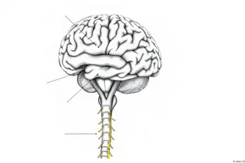 Warning signs of ALS: A clinical overview of early diagnostic indicators