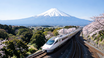 11-day Japan Discovery Tour with Flights Included 2026: A Complete Planning Guide