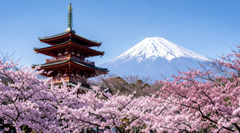 10-day Japan all-inclusive packages for solo travelers: A Guide to Navigating Market Realities and Tour Options