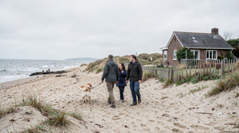 Weekendje Zeeland huisje: vakantie met hond | Feiten en aandachtspunten voor een verblijf aan de kust