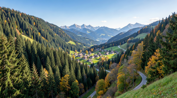 5-tägige Reise in den Schwarzwald mit Halbpension und Busreise: Eine Analyse der organisatorischen Strukturen und Reiseformate