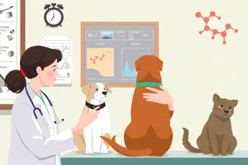 Pet Allergy Testing: Clinical Methods, Interpretation, and Practical Limits