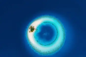 Dykking og strand på Maldivene - Fullspektrum reise: En dyptgående analyse av marine økosystemer og kystlogistikk