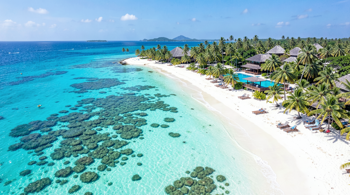 Paquete vacacional todo incluido de 7 días a la Isla de Roatán con vuelos y traslados al aeropuerto: Una guía de planificación integral