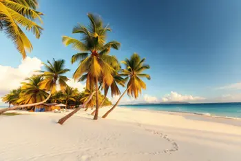 All-inclusive-7-Nächte-Pauschalreise nach Punta Cana mit Flügen: Eine detaillierte Analyse der Reiseplanung und Marktbedingungen