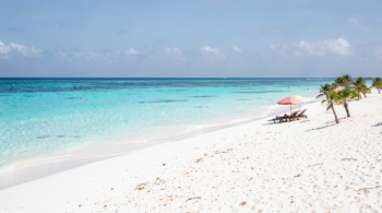Escape to Aruba: 7 days with hotel, flights and breakfast: A Comprehensive Overview of Planning and Market Trends