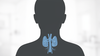 Warning signs of thyroid dysfunction: An objective analysis of hormonal imbalance and clinical indicators