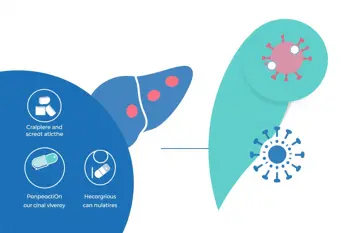 Hepatitis C management options in the US