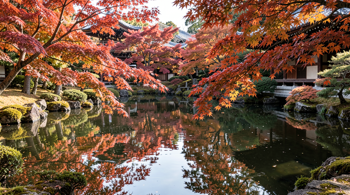 Fly and explore Japan in 10 days: A Comprehensive Guide to the Golden Route