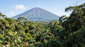 Explore Costa Rica in 8 days with flights and hotel stay included: An Overview of Managed Travel Packages