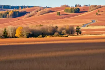 Een ontspannen 7-daagse reis naar de Veluwe met hotel en rondleidingen in 2027: Een strategische verkenning van natuur en cultuur