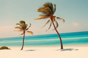 All-inclusive 8-day packages to Aruba: A Research-Based Overview of Travel Planning