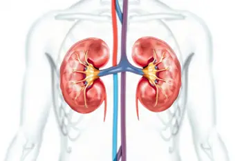 Warning signs of kidney disease: A comprehensive clinical overview of early indicators and risk factors