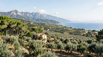 Agriturismi in Calabria: 7 destinazioni, confronto tra natura, cucina e territorio