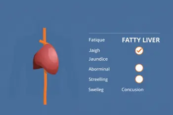 Fatty Liver Warning Signs: A Clinical Guide to Symptoms, Progression, and Evaluation