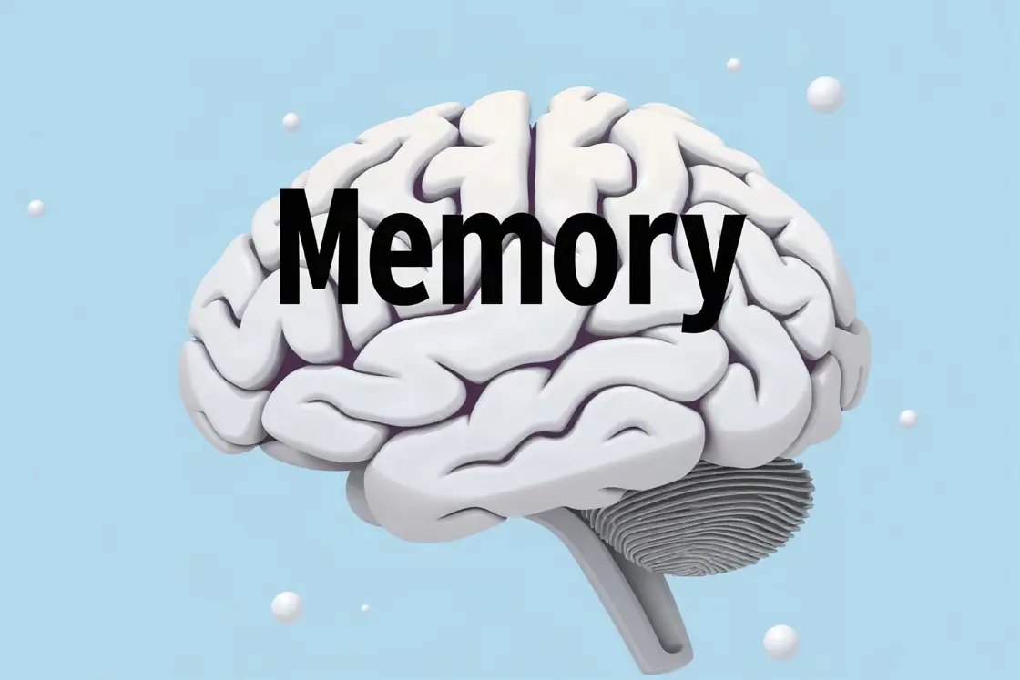 Signs of Alzheimer's disease progression: A clinical guide to understanding stages and care