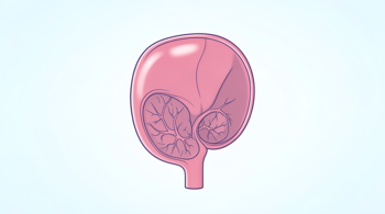 Early symptoms of bladder cancer to watch for: An Analytical Guide to Clinical Indicators and Diagnostic Challenges
