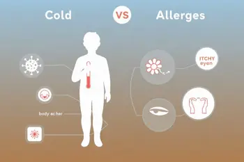 Common symptoms of seasonal allergies vs colds: An analytical guide to identifying respiratory distress