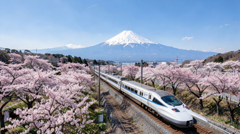 12-dagers Japan-oppdagelsesreise med fly inkludert 2026: En omfattende analyse av reisetrender og logistikk