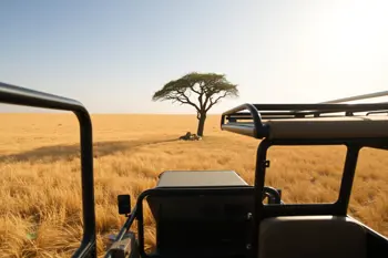Safari en Tanzanie : 7 jours tout compris : Rapport complet sur les dynamiques du circuit nord et la gestion logistique