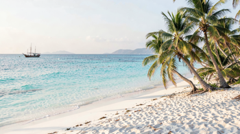 12-daagse all-inclusive reis naar Zanzibar met vluchten en excursies: Een analyse van de reismogelijkheden en logistieke planning