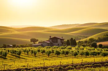 Migliori agriturismi Emilia-Romagna 2026: analisi dell'offerta rurale e nuove tendenze di soggiorno