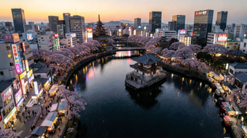 Circuit de 8 jours à Osaka avec vol inclus : guide analytique pour préparer son séjour au Kansai