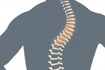 When to seek care for persistent back pain: Clinical guidance and identification of red flag symptoms