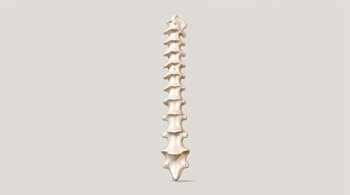 Natural methods for lower back pain relief: An analytical overview of clinical evidence and management strategies
