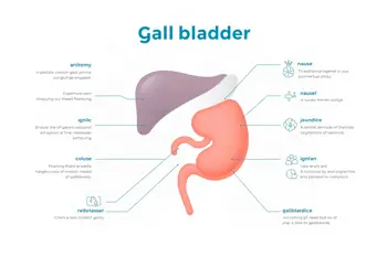 Warning signs of gallbladder disease: A clinical overview of symptoms and complications