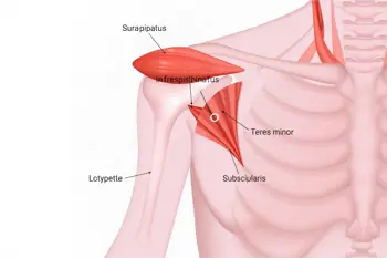 Warning signs of rotator cuff injury: A clinical analysis of shoulder pathology symptoms