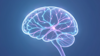 Warning signs of epilepsy: An analytical overview of clinical symptoms and seizure manifestations