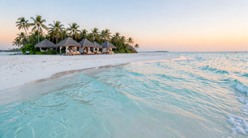 7-day Caribbean beach escape package with flights included: A Detailed Examination of Regional Market Trends and Consumer Logistics