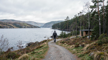7 dages wellnessferie på Fyn: gåture, sauna og tid til afslapning - en journalistisk rejseguide