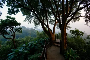 The best forested retreats to explore for wildlife observation in 2027: A research guide