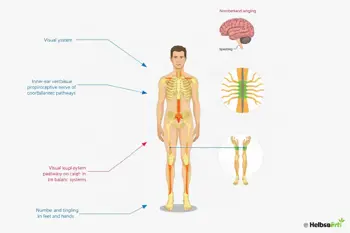 Recognizing changes in balance and sensation: A Clinical Guide to Symptoms, Causes, and Evaluation