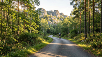 3-dages ophold på Bornholm med morgenmad og cykeloplevelser i 2026: En analytisk guide til planlægning