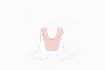 Early symptoms of Hyperthyroidism you should know: Clinical Analysis and Understanding