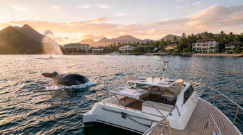 5-night Maui resort package with a whale-watching cruise and meals included: An evidence-based planning guide